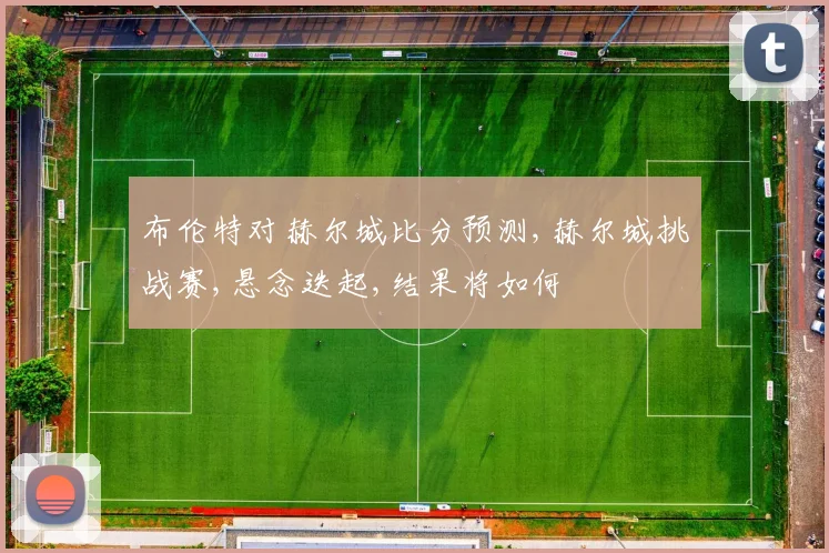 布伦特对赫尔城比分预测,赫尔城挑战赛,悬念迭起,结果将如何