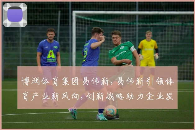 博润体育集团易伟新,易伟新引领体育产业新风向,创新战略助力企业发展